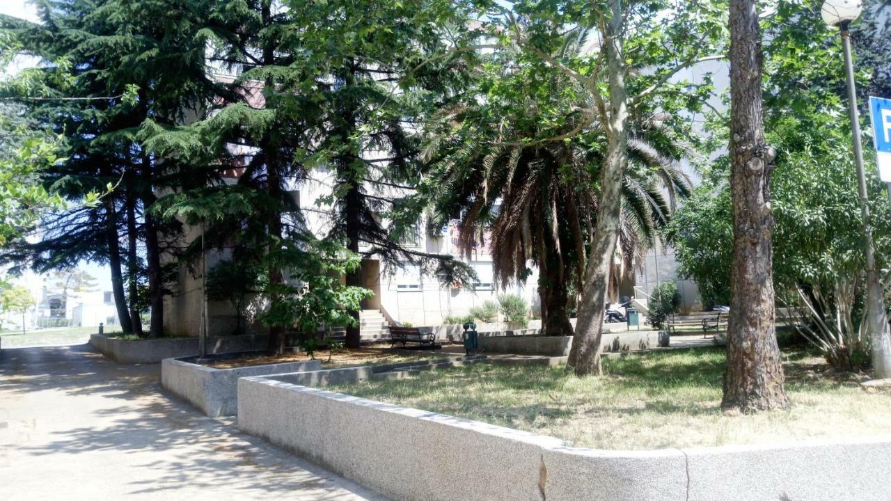 Apartments Zara- Zd المظهر الخارجي الصورة